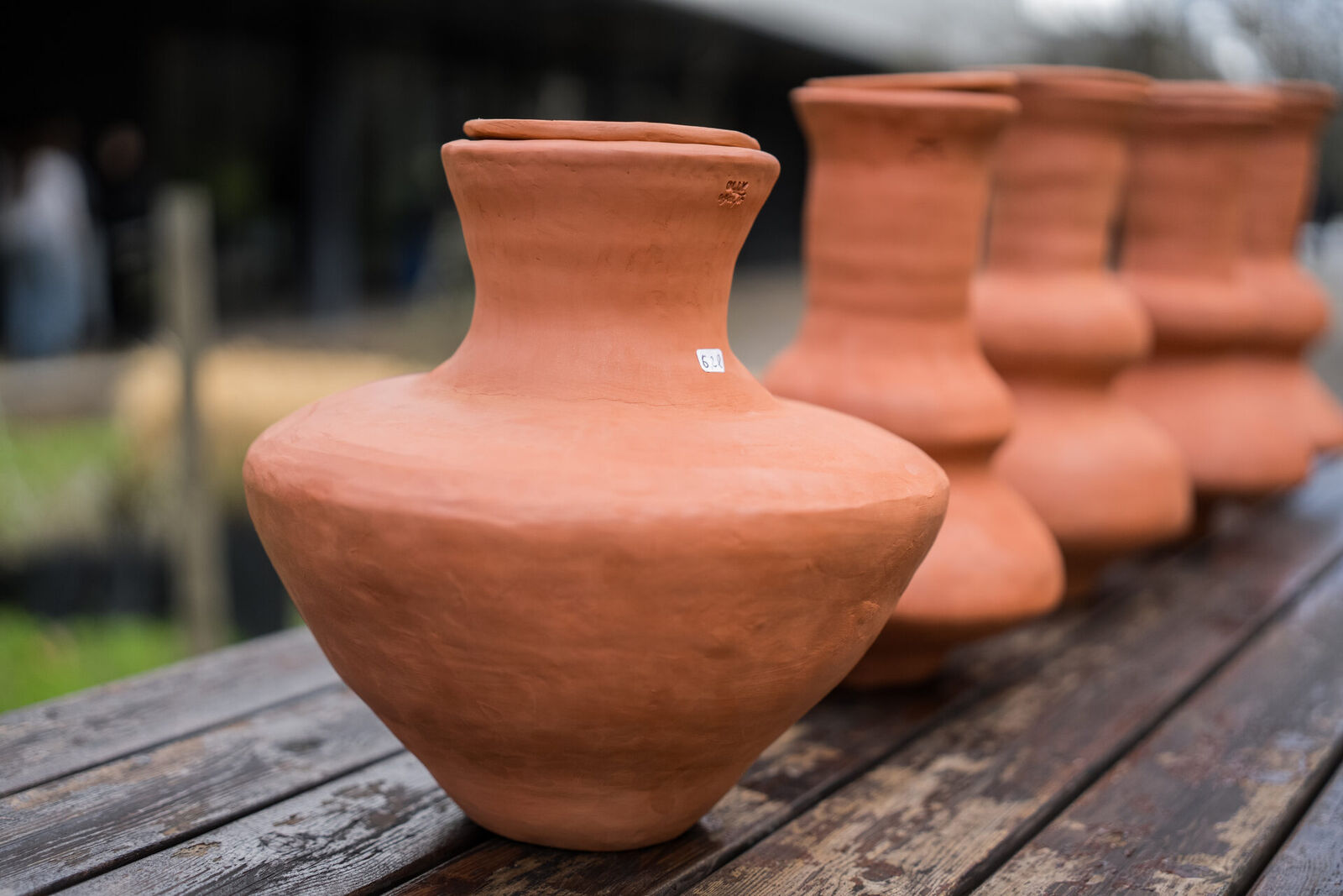 Potes Olly Water e cobertura NAM: a ilha de Amora como laboratório vivo