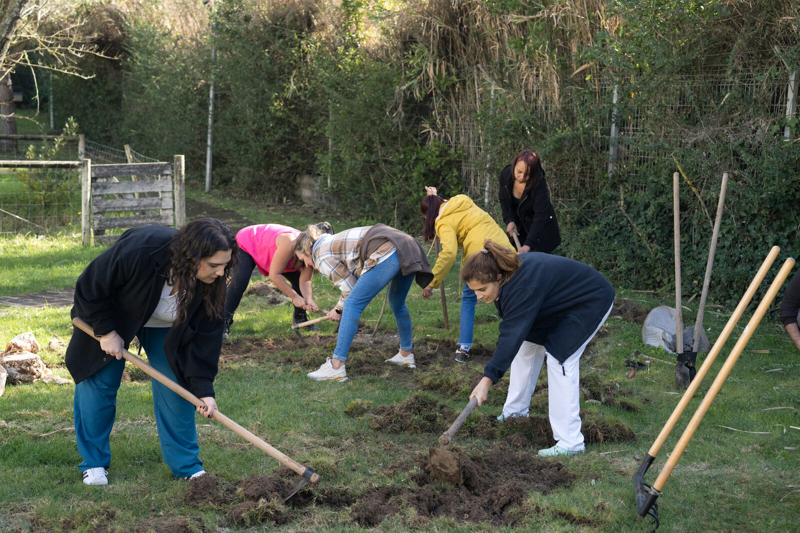 A floresta que os residentes plantaram com as próprias mãos
