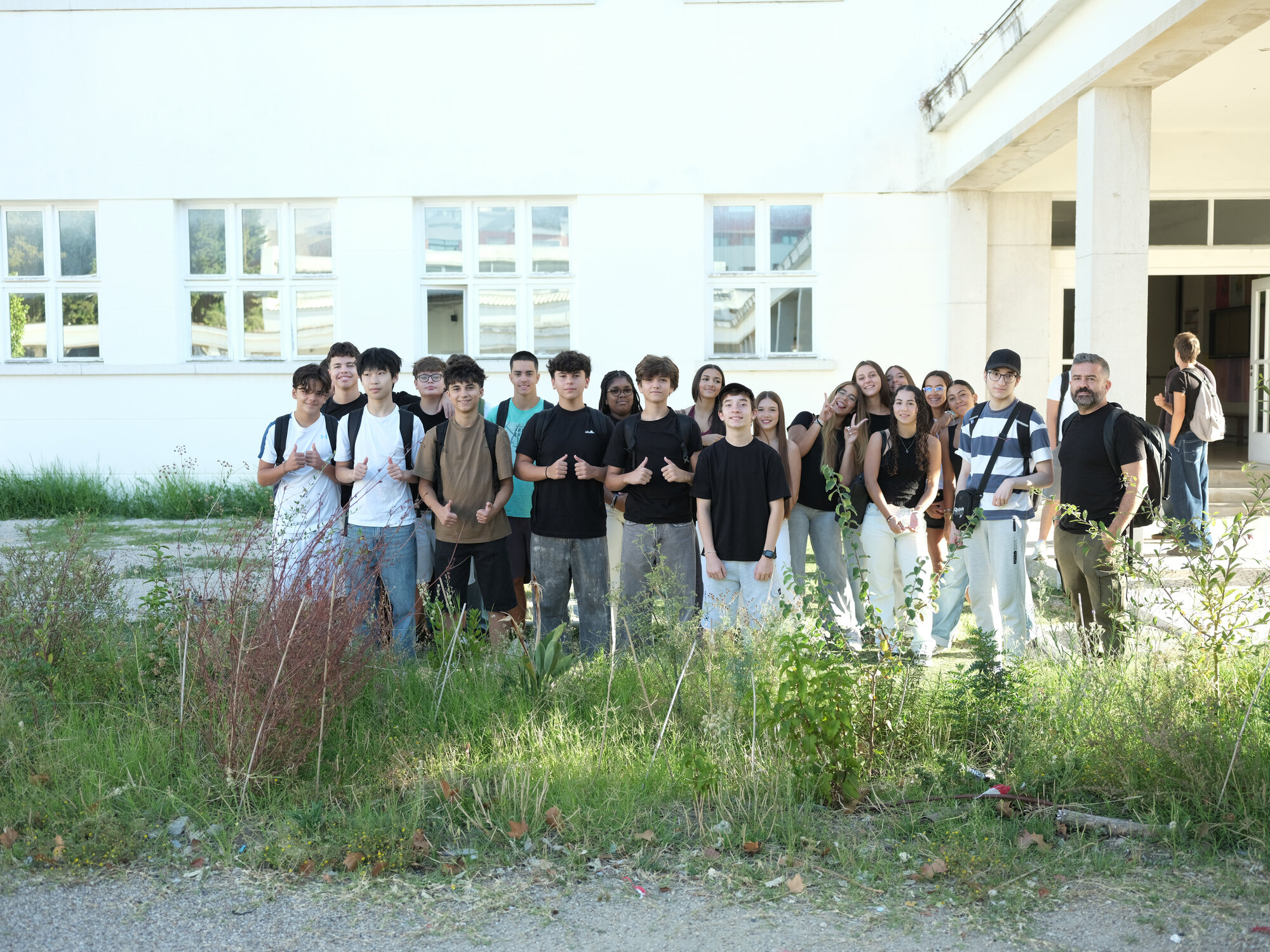 One year on: the urban mini-forest in the school courtyard enters autumn